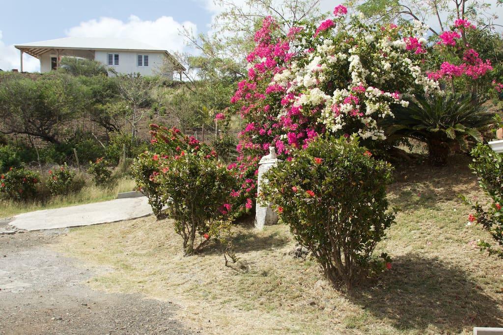 Appartement Vacances Goyave Cap Chevalier Buitenkant foto